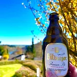 Eifelzeit Am Tatil Evi *