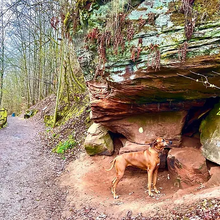 Eifelzeit Am * Biersdorf